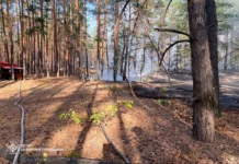 У Павлоградському районі вогнеборці ліквідували лісову пожежу