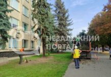 У центрі Павлограда зрубали ялинку (ФОТО)