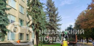 У центрі Павлограда зрубали ялинку (ФОТО)