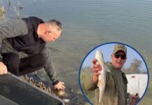 Рибальський клуб “Фішбон”: осіннє зариблення Самари, Вовчої, Тернівки