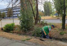 Наповнювачі котячих туалетів, ганчірки і підгузки ― чи забиті ливнівки у Павлограді?