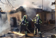 У Павлограді на пожежі загинув собака (ФОТО)