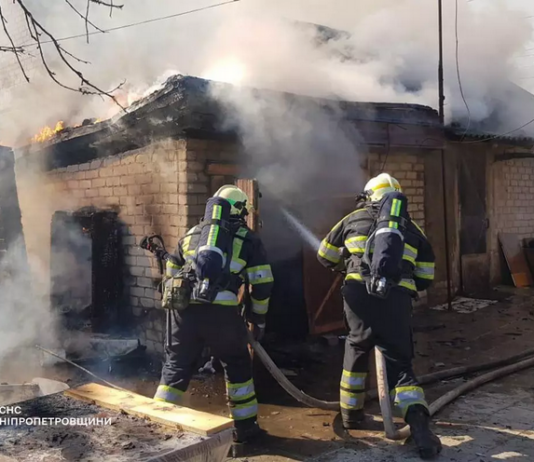 У Павлограді на пожежі загинув собака (ФОТО)