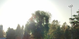 Питання вирішене: Павлоград залишає свою назву