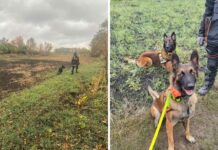 Павлоградські кінологи виїжджали на пошуки людини