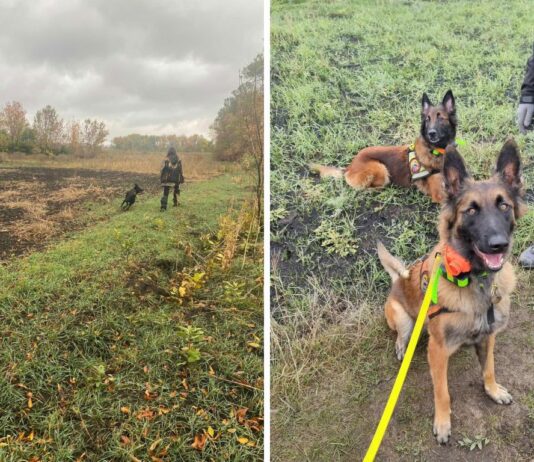 Павлоградські кінологи виїжджали на пошуки людини