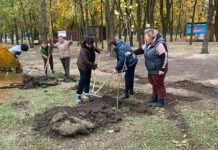 У Павлограді висадили ще сотню дерев