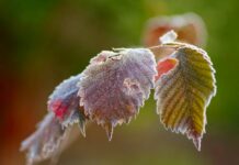 На павлоградців очікує зміна погоди