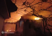 Рятувальники ліквідували пожежу на Павлоградщині