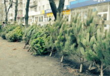 У Павлограді визначили місця для торгівлі під час різдвяних та новорічних свят