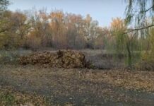 Комунальники Павлограда облаштували велику компостну яму