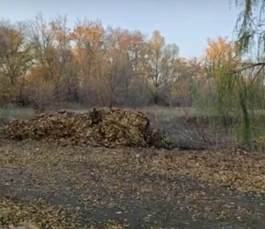 Комунальники Павлограда облаштували велику компостну яму