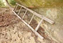 У Павлограді жінка впала з драбини