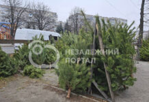 У Павлограді працює «ялинковий ярмарок» (ФОТОФАКТ)