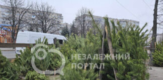 У Павлограді працює «ялинковий ярмарок» (ФОТОФАКТ)