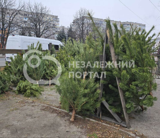 У Павлограді працює «ялинковий ярмарок» (ФОТОФАКТ)