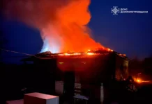 У Павлоградському районі вогнеборці ліквідували пожежу