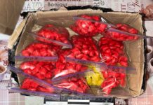 Психотропів на 5 млн. гривень: у Павлограді правоохоронці викрили наркозбувачку