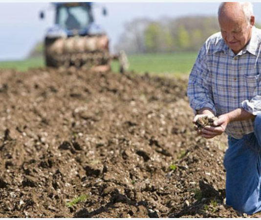 Як телевізор впливає на сучасне фермерство