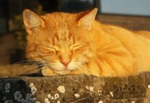 У Павлоград йде потепління