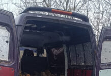 У Павлоградському районі затримали «чорних лісорубів»