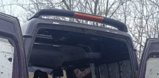 У Павлоградському районі затримали «чорних лісорубів»