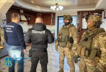 На Павлоградщині викрили злочинну групу, що вирубувала ліси