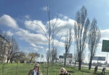 Павлоградські ветерани взяли участь в озелененні міста