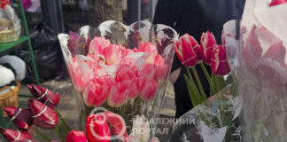 Квітковий «бум»: скільки коштують тюльпани у Павлограді