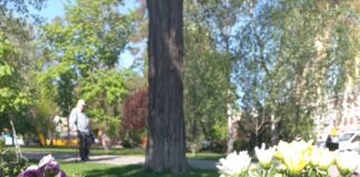 На Алеї Пам’яті у Павлограді знову стався акт вандалізму