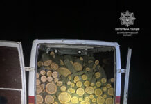 На Павлоградщині виявили «чорних лісорубів»