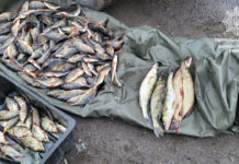 На Павлоградщині водний патруль виявив рибалку-браконьєра