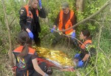 Павлоградські кінологи відшукали бабусю, яка майже добу пролежала у лісосмузі