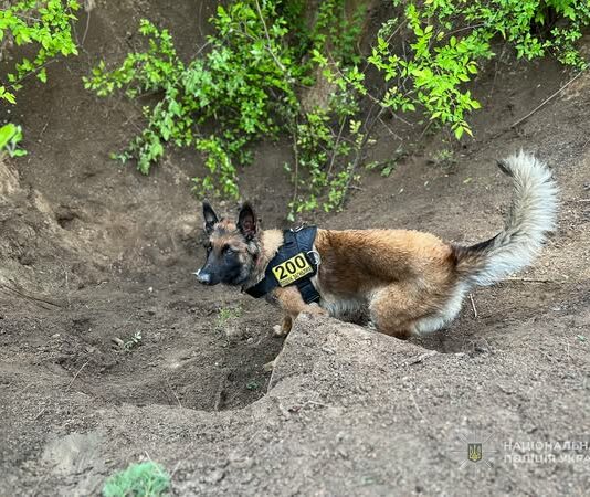 Кінологи з Павлограда допомогли поліцейським Запоріжжя оперативно розкрити вбивство 20-річного хлопця