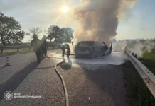 У Павлоградському районі вогнеборці загасили палаючий автомобіль