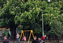 У Дитячому парку Павлограда працюють камери відеоспостереження: слідкують за вандалізмом