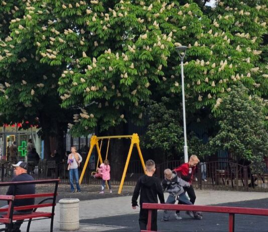 У Дитячому парку Павлограда працюють камери відеоспостереження: слідкують за вандалізмом