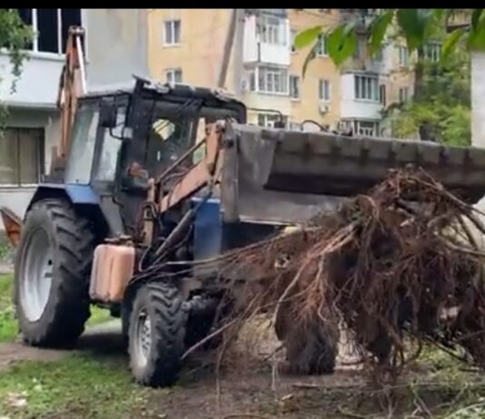 У Павлограді комунальники продовжують усувати наслідки буревію