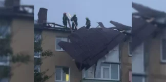 У Павлограді негода завалила понад 10 дерев і позривала дахи