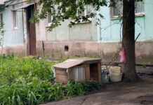 Собака біля багатоповерхівки має мати відповідальну особу ― комунальники