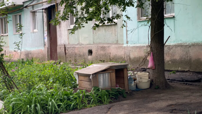 Безпритульні собаки біля будинку — турбота чи небезпека_(8)