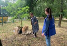 До транзитного центру Павлограда вивезли з Донеччини жінку із великим собакою