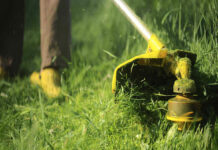 У Павлограді комунальники ведуть боротьбу із бур’янами