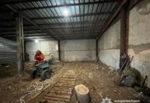 На Павлоградщині викрили «чорних лісорубів»