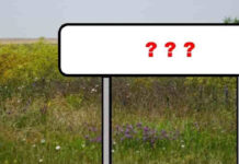 Мешканців Юріївщині запрошують обговорити перейменування назв трьох населених пунктів