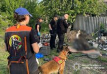 До 10 років ув’язнення засудили мешканця Павлограда, який убив власну матір