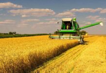 На Павлоградщині тривають жнива