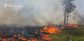 Павлоградські надзвичайники ліквідували лісову пожежу
