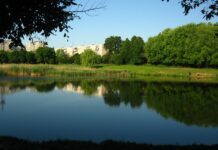 Горіховий гай — зелений оазис посеред Львова