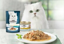 Вишукане меню для кота: 3 причини обрати Gourmet